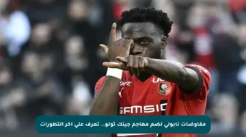 مفاوضات نابولي لضم مهاجم جينك تولو.. تعرف على آخر التطورات